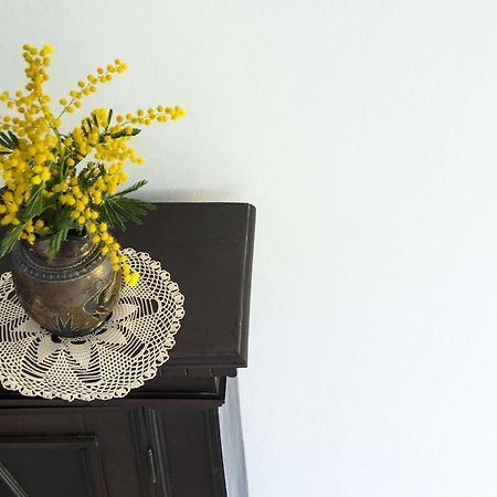 La Villa Nei Fiori 피렌체 외부 사진
