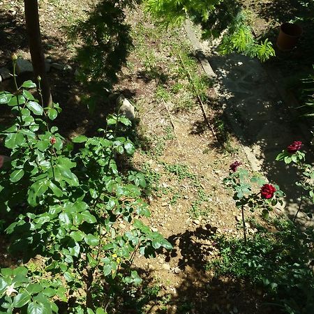 La Villa Nei Fiori 피렌체 외부 사진